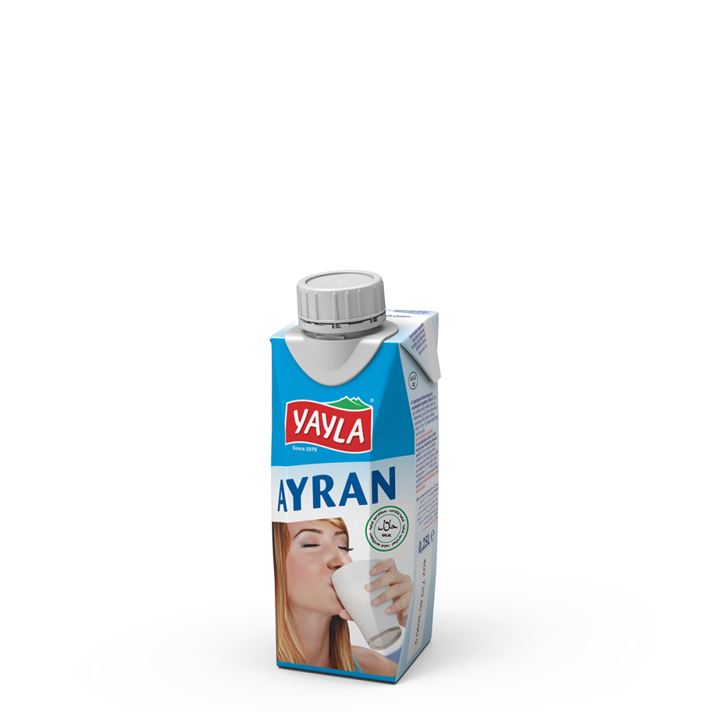 Ayran-Yoghurt-Drink Turkish Style